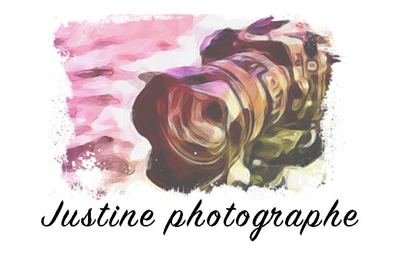 Justine photographe